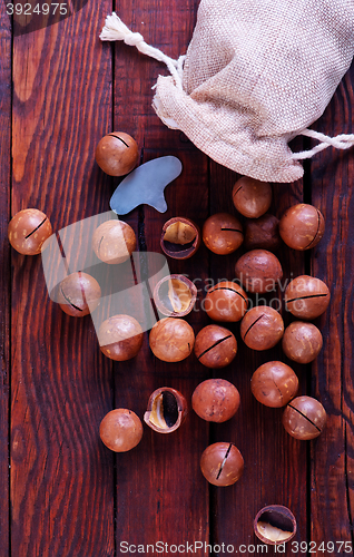 Image of macadamia