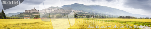 Image of Assisi in Italy Umbria golden field panorama
