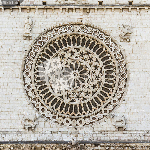 Image of window rose from Assisi