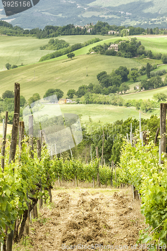 Image of nice view in Italy Marche near Camerino