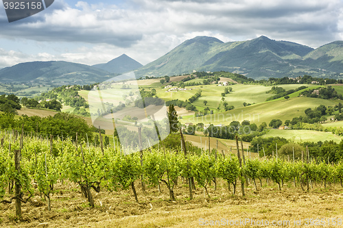 Image of nice view in Italy Marche near Camerino