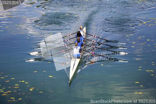 Image of Four women rowing on the tranquil lake