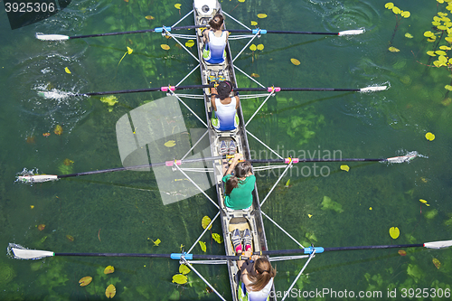 Image of Four women rowing on the tranquil lake