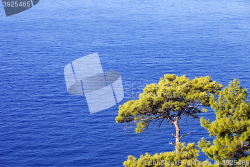Image of Top view on blue sunlight sea at sun day