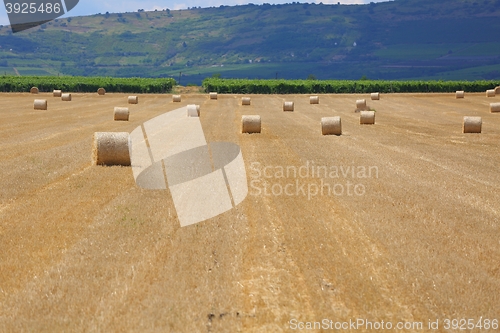 Image of Agricultural field with bales