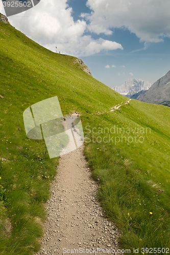 Image of Alpine Summer Landscape