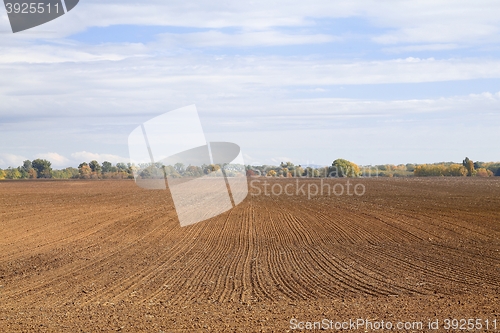 Image of Agircutural field with brown soil