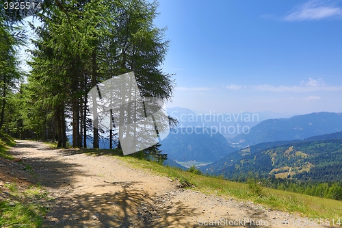 Image of Hilly Landscape Path