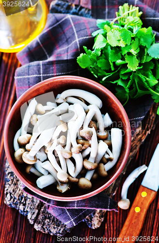 Image of raw mushrooms