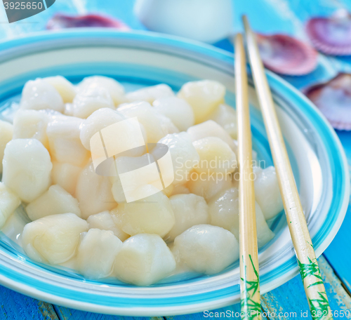 Image of scallop