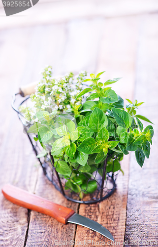 Image of aroma herb