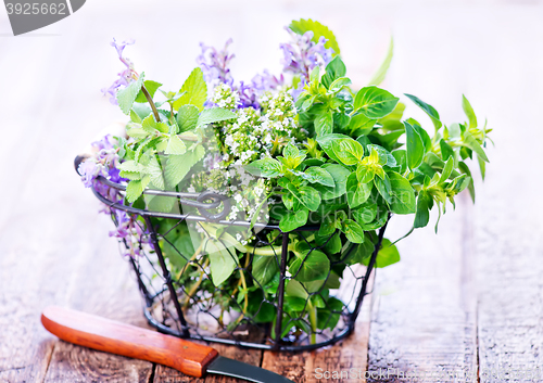 Image of aroma herb