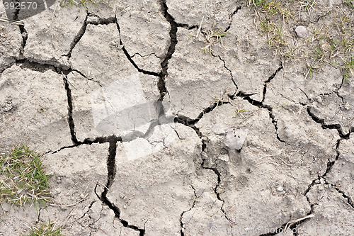 Image of Close up picture of cracked dried soil