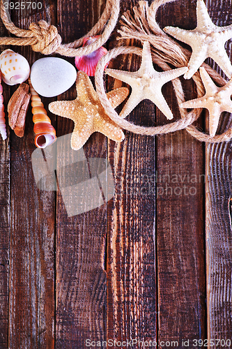 Image of sea shells