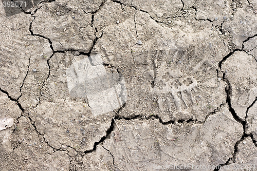 Image of Close up of cracked dried soil with footprint