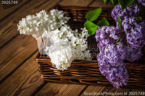 Image of Still-life with a bouquet of lilac, close up