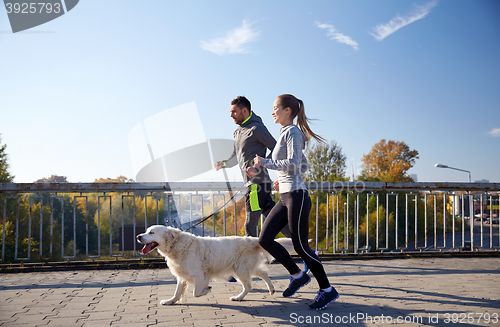 Image of happy couple with dog running outdoors