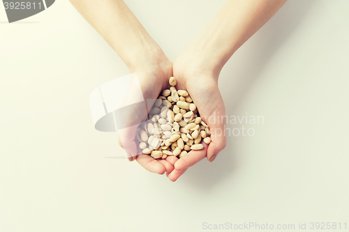 Image of close up of woman hands holding peeled peanuts