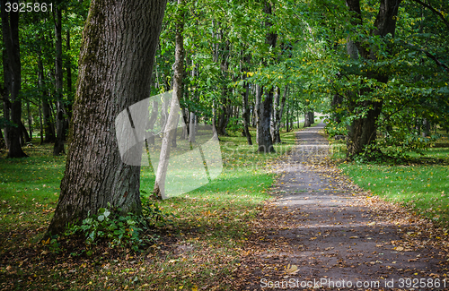 Image of Alley in old autumn park, autumn landscape