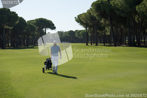 Image of golf player walking with wheel bag