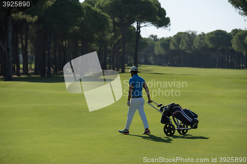 Image of golf player walking with wheel bag