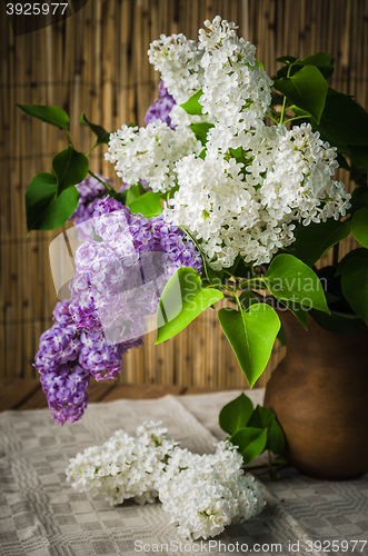Image of Still-life with a bouquet of lilac, close up