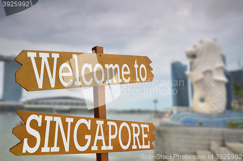 Image of Welcome to Singapore