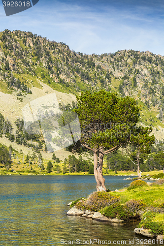 Image of Landscape in Pyrenees Mountains