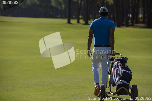 Image of golf player walking with wheel bag