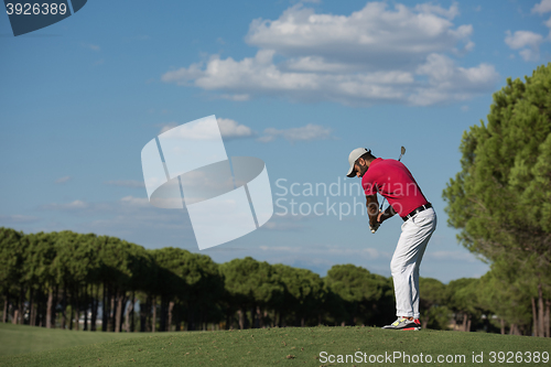 Image of golf player hitting long shot