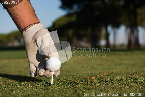 Image of close up of golf players hand placing ball on tee