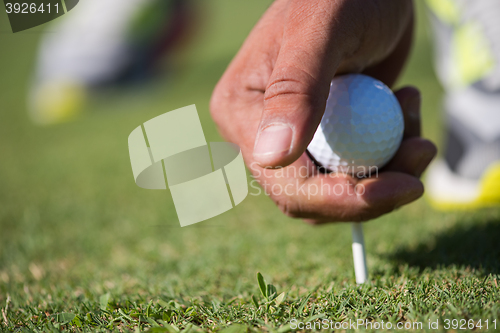 Image of golf player placing ball on tee