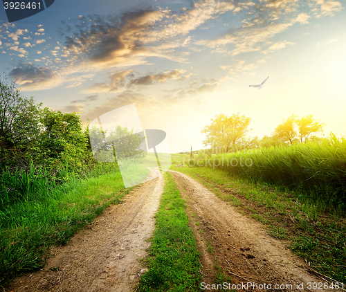 Image of Spring and country road