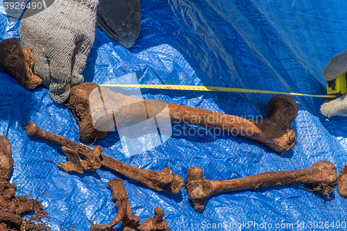 Image of Skeleton remains of a buried unknown victim