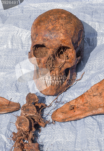 Image of Skeleton remains of a buried unknown victim