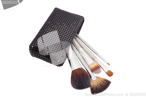 Image of Set of make-up brushes in bag isolated on white