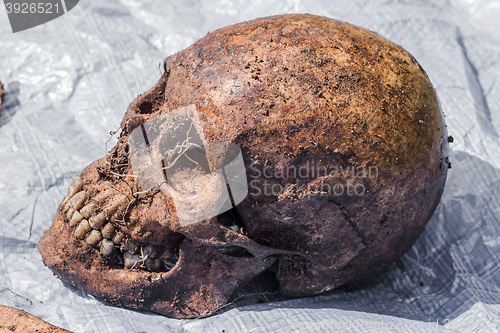 Image of Skeleton remains of a buried unknown victim