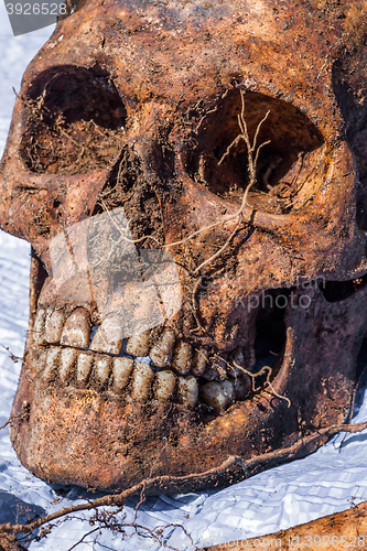 Image of Skeleton remains of a buried unknown victim