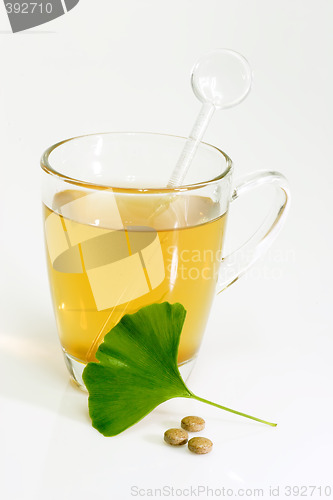 Image of Gingkotea