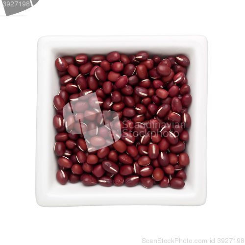 Image of Adzuki bean