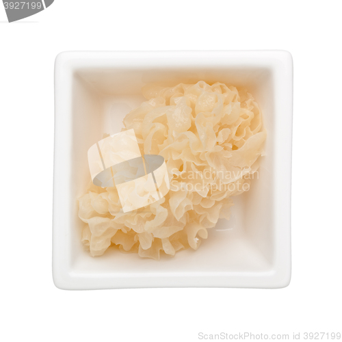 Image of White fungus