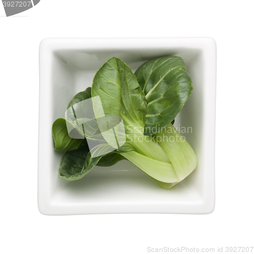 Image of Chinese cabbage