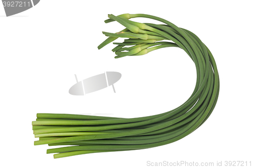 Image of Garlic scape