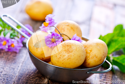 Image of raw potato