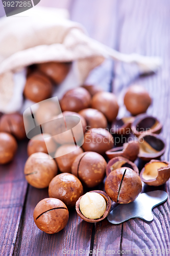 Image of macadamia