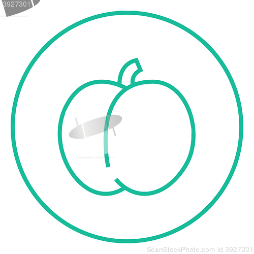 Image of Plum with leaf line icon.