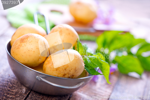 Image of raw potato