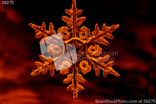 Image of Snowflake
