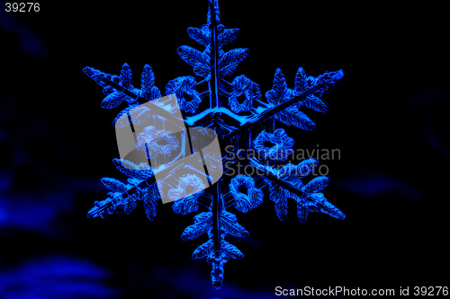 Image of Snowflake