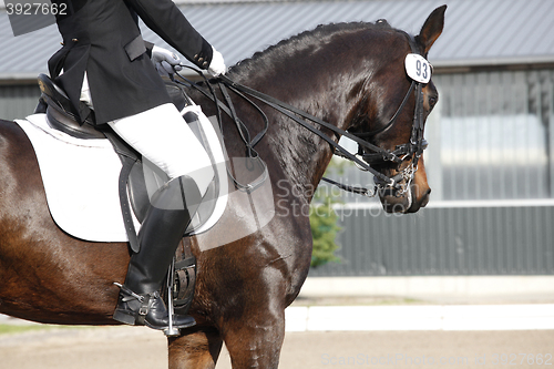 Image of Horse dressage